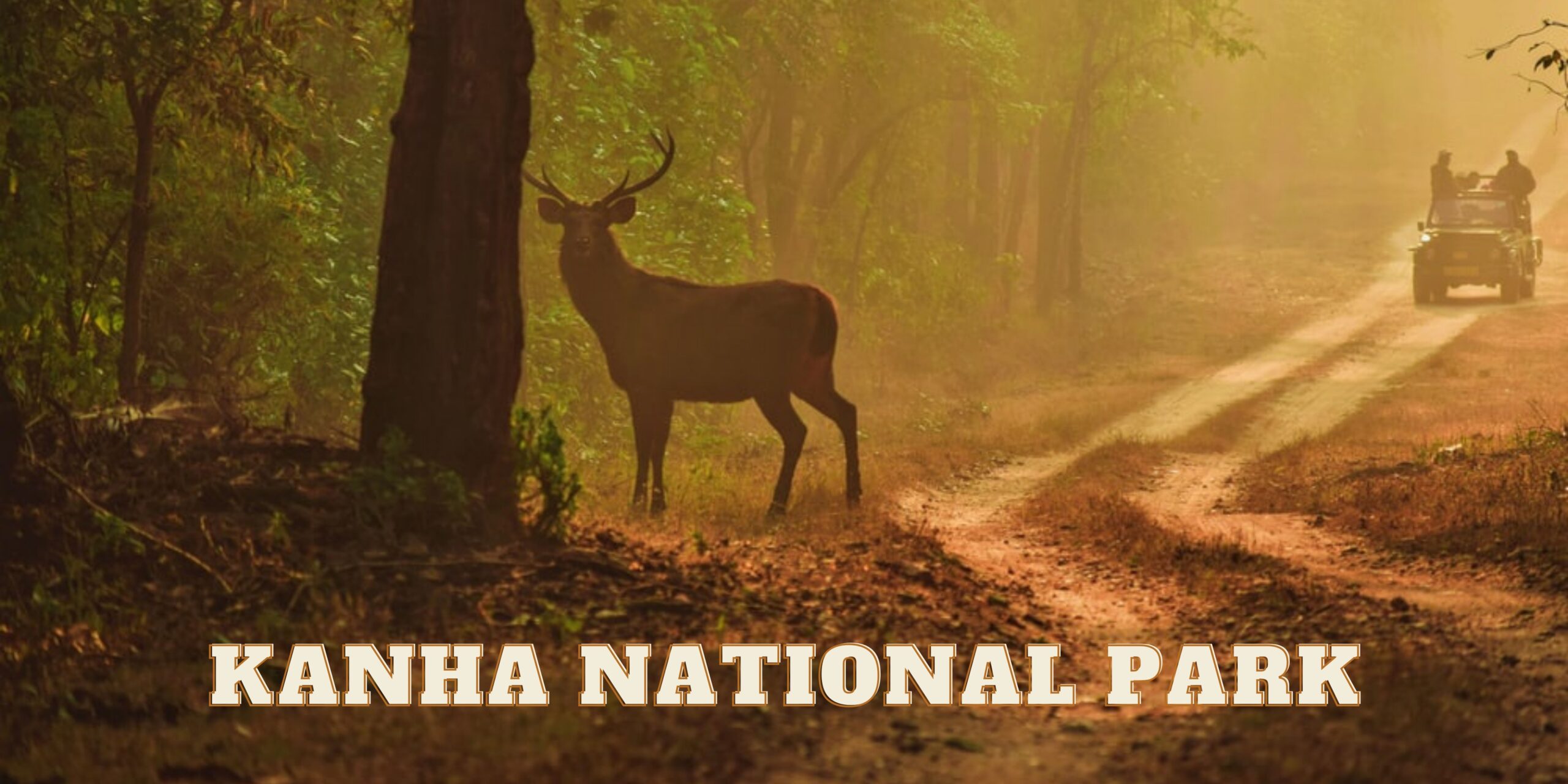 Nagpur to kanha national park taxi